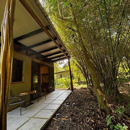 Bamboo River Lodge Horquetas Ngoại thất bức ảnh