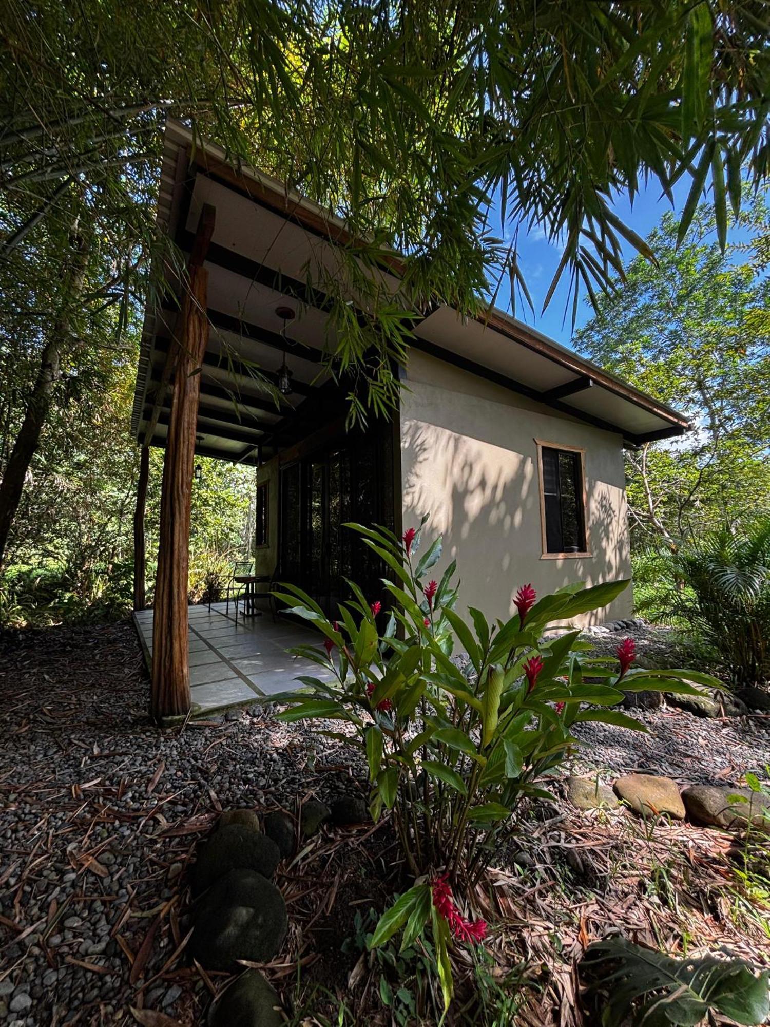 Bamboo River Lodge Horquetas Ngoại thất bức ảnh
